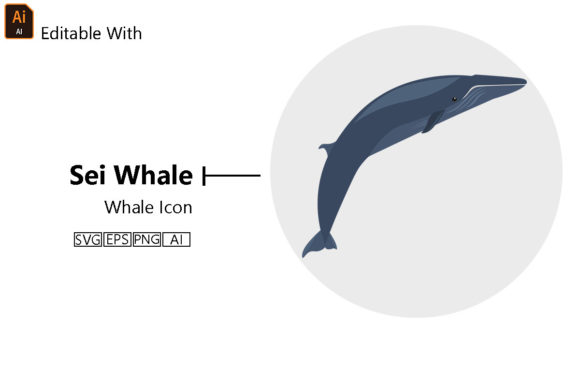 Whale Icon - Sei Whale Vector Design: A Versatile Graphic for Creative Projects